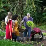 Why Urban Farming Is Becoming a Supermarket Staple Supplier