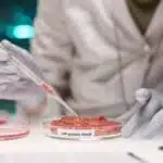 How Lab-Grown Meat Could Reshape the Meat Industry